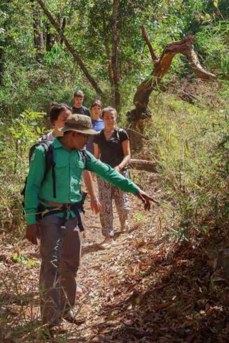 Jungle trek Jungle trek